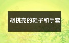 胡桃殼的鞋子和手套