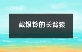 戴銀鈴的長臂猿