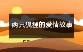 兩只狐貍的愛情故事