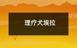 理療犬埃拉