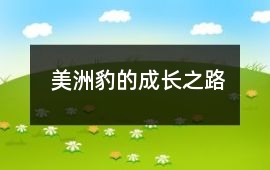 美洲豹的成長之路