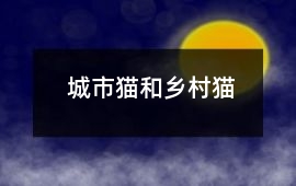 城市貓和鄉村貓