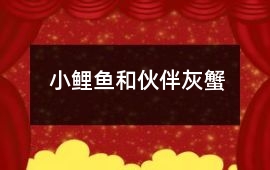 小鯉魚和伙伴灰蟹