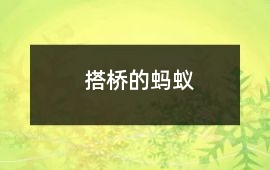 搭橋的螞蟻
