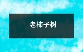 老柿子樹(shù)