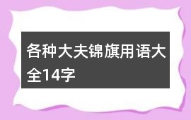 各種大夫錦旗用語(yǔ)大全14字