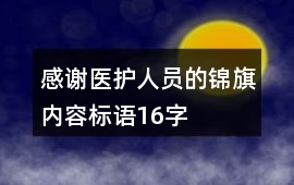 感謝醫(yī)護(hù)人員的錦旗內(nèi)容標(biāo)語16字