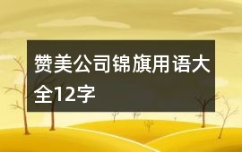 贊美公司錦旗用語大全12字