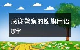 感謝警察的錦旗用語8字