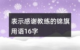 表示感謝教練的錦旗用語16字