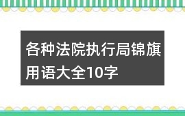 各種法院執(zhí)行局錦旗用語大全10字