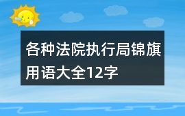 各種法院執(zhí)行局錦旗用語(yǔ)大全12字