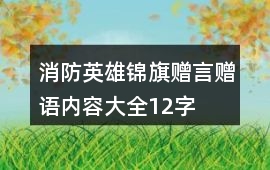 消防英雄錦旗贈言贈語內(nèi)容大全12字