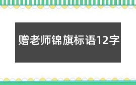 贈(zèng)老師錦旗標(biāo)語12字
