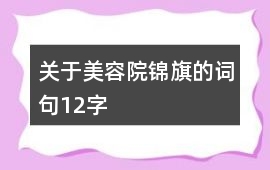關(guān)于美容院錦旗的詞句12字