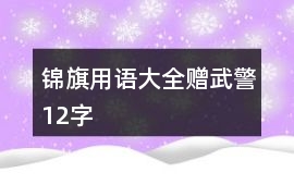 錦旗用語(yǔ)大全贈(zèng)武警12字