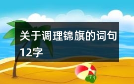 關于調理錦旗的詞句12字