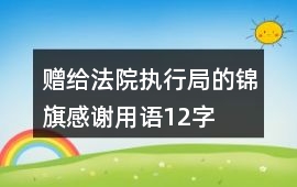 贈(zèng)給法院執(zhí)行局的錦旗感謝用語12字