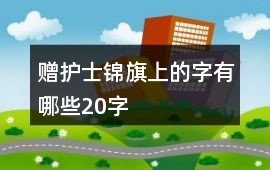 贈護士錦旗上的字有哪些20字