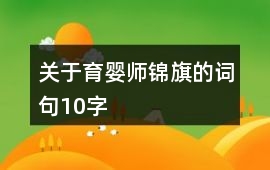 關(guān)于育嬰師錦旗的詞句10字