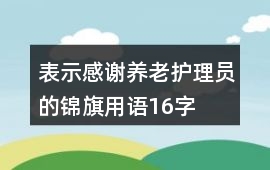 表示感謝養(yǎng)老護理員的錦旗用語16字