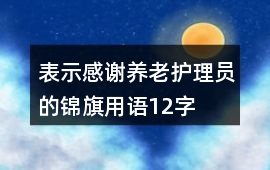 表示感謝養老護理員的錦旗用語12字