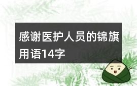感謝醫(yī)護(hù)人員的錦旗用語(yǔ)14字