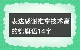 表達感謝推拿技術高的錦旗語14字