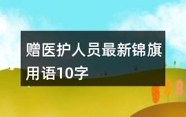 贈醫(yī)護人員最新錦旗用語10字