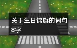關于生日錦旗的詞句8字