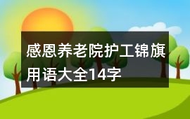 感恩養老院護工錦旗用語大全14字