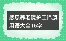 感恩養(yǎng)老院護(hù)工錦旗用語大全16字