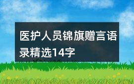 醫護人員錦旗贈言語錄精選14字