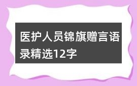 醫護人員錦旗贈言語錄精選12字