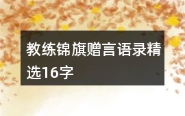 教練錦旗贈(zèng)言語錄精選16字