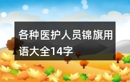 各種醫(yī)護人員錦旗用語大全14字