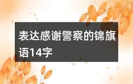 表達感謝警察的錦旗語14字