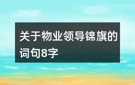 關(guān)于物業(yè)領(lǐng)導錦旗的詞句8字