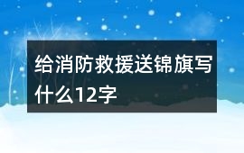 給消防救援送錦旗寫什么12字