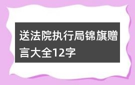 送法院執(zhí)行局錦旗贈(zèng)言大全12字
