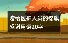 贈給醫護人員的錦旗感謝用語20字