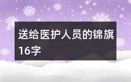 送給醫(yī)護人員的錦旗16字