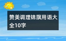 贊美調理錦旗用語大全10字