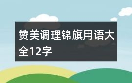 贊美調(diào)理錦旗用語大全12字