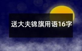 送大夫錦旗用語16字