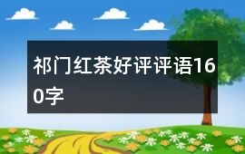 祁門紅茶好評(píng)評(píng)語160字