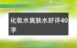 化妝水、爽膚水好評(píng)40字