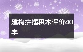 建構(gòu)、拼插積木評價40字