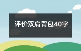 評(píng)價(jià)雙肩背包40字