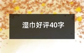 濕巾好評40字